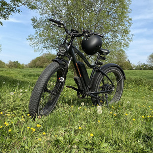 2021 Rad Power Bikes RADRHINO HIGH STEP EU Black
