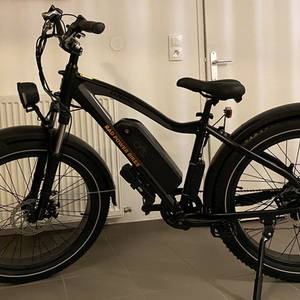 2021 Rad Power Bikes RADRHINO HIGH STEP EU Black