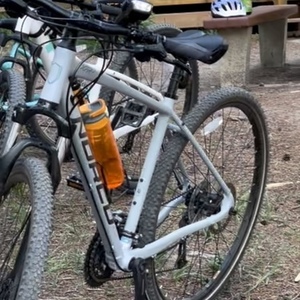 2019 Norco Bikes XFR2 Silver, gray or bare metal