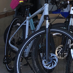 2019 Norco Bikes XFR2 Silver, gray or bare metal