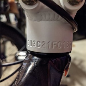 2021 Rad Power Bikes Radcity Step Thru White