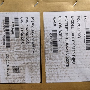 2021 Rad Power Bikes Radcity Step Thru White