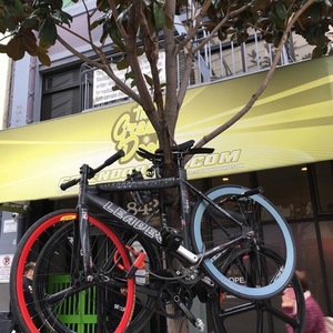 2008 Leader Bikes 735-TR Black and White