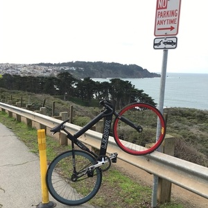2008 Leader Bikes 735-TR Black and White