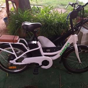 2021 Nakto Pony White
