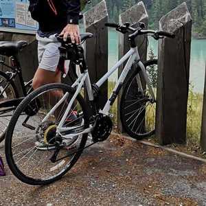 Brodie Urban Commuter White