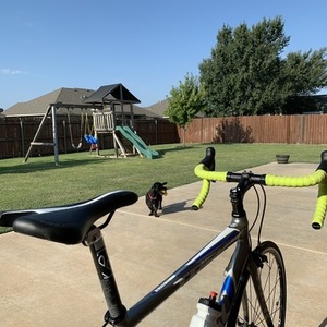 2011 Trek 2.1 Silver, gray or bare metal and Blue