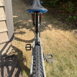 2020 Ibis Ripmo v2 Silver, gray or bare metal