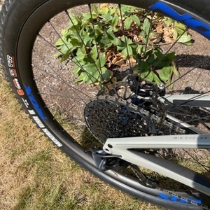 2020 Ibis Ripmo v2 Silver, gray or bare metal