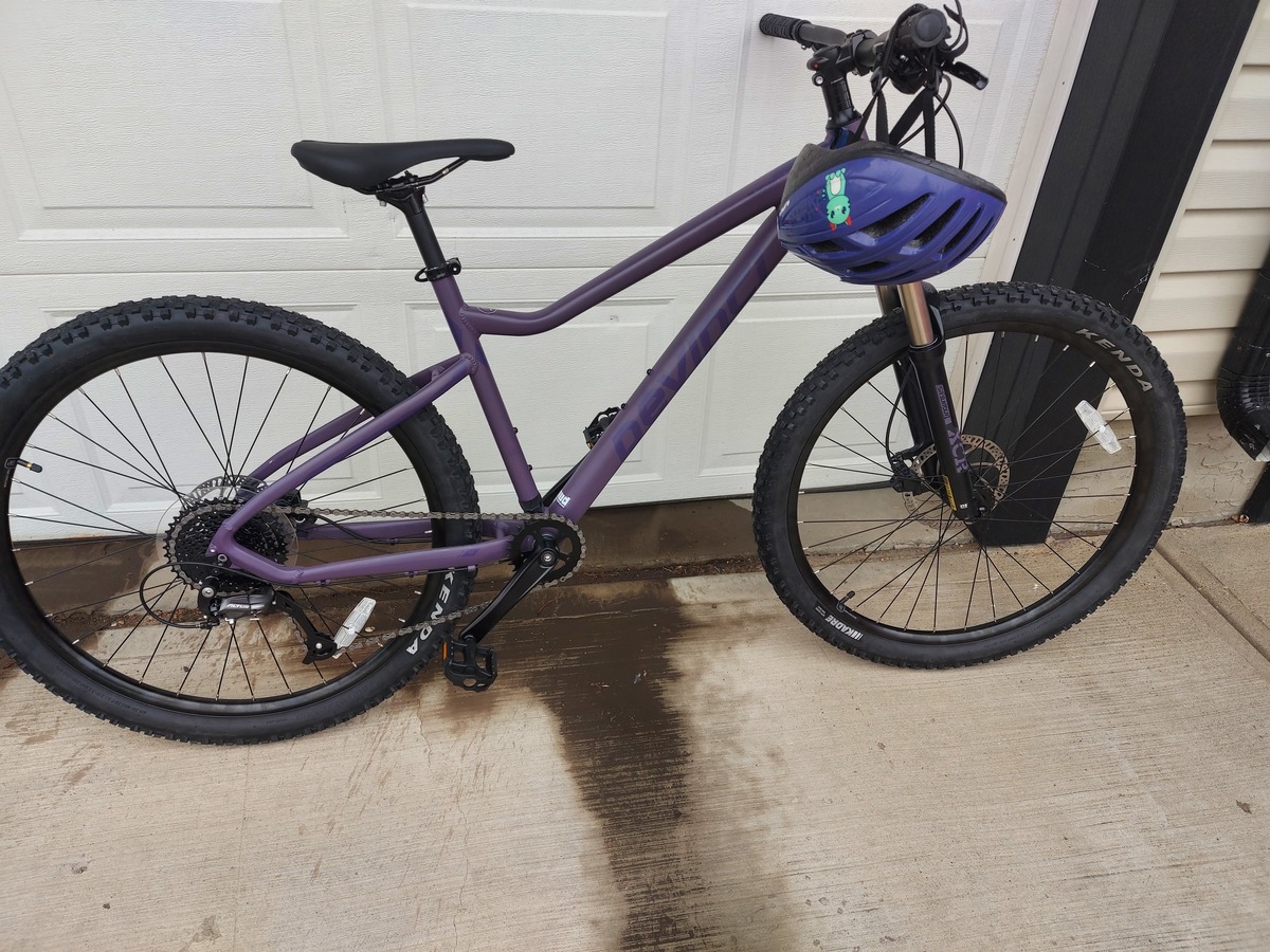 2021 Devinci Blackbird 2021 Devinci Blackbird