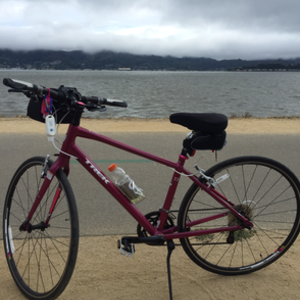 2015 Trek Pink