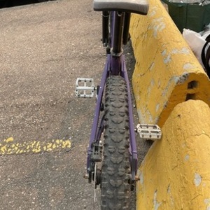 Brodie Purple