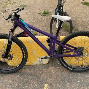 Brodie Purple