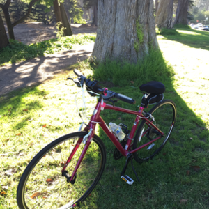2015 Trek Pink