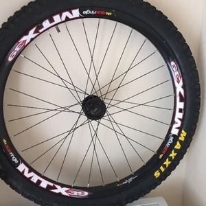 2017 Rad Power Bikes Black