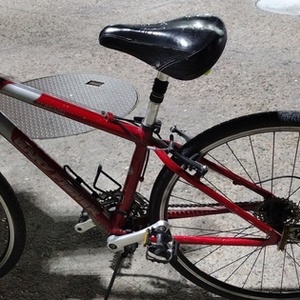 Gary Fisher Zebrano Red