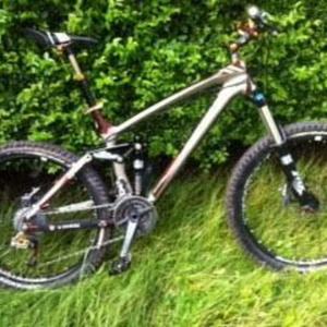 2010 Trek Remedy 9.9 19.5" Brown