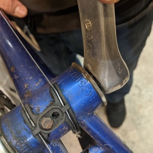 Bianchi Eros Blue