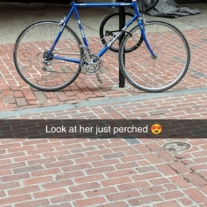 Bianchi Eros Blue