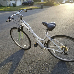 Schwinn Trailway 28"/700c Hybrid White and Green