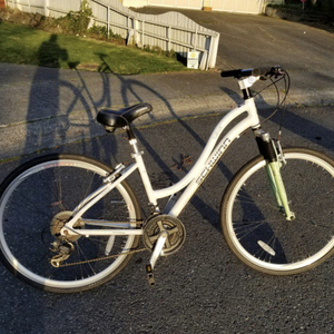 Schwinn Trailway 28"/700c Hybrid White and Green