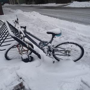 Huffy Silver, gray or bare metal and Blue