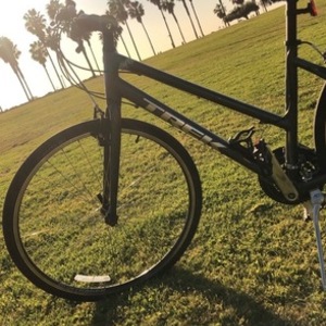 2020 Trek FX1 Silver, gray or bare metal