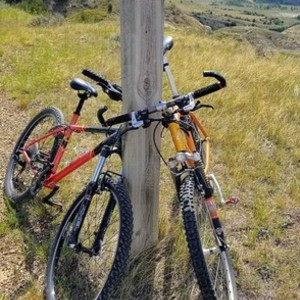 1998 Trek 7000zx Yellow or Gold