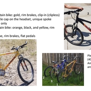 1998 Trek 7000zx Yellow or Gold