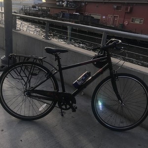 2021 Priority Bicycles Cruiser Black
