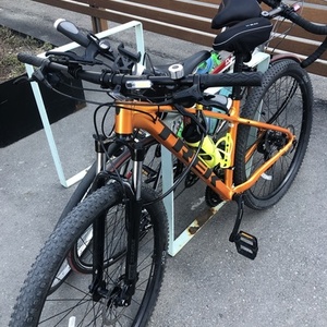 2020 Trek Orange