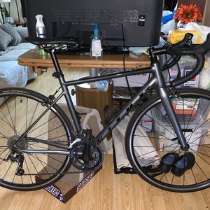 2021 Vitus Claris Silver, gray or bare metal