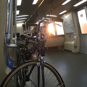 2016 Schwinn Suburban Black