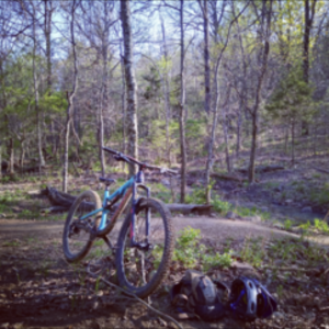 2019 Rocky Mountain Bicycles Instinct Blue