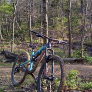 2019 Rocky Mountain Bicycles Instinct Blue