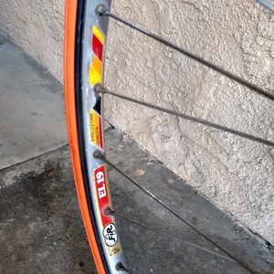 Bianchi Campione Blue