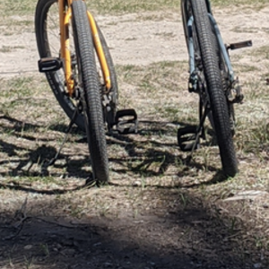 2020 Norco Bikes Scene 3 Orange