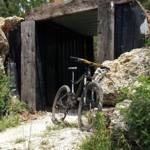 2016 Giant Trance Black