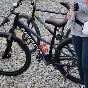 Norco Bikes Storm Black