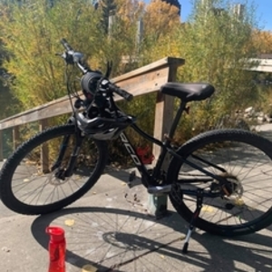 Norco Bikes Storm Black