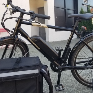 Rad Power Bikes 6061 ALMUNIUM Black