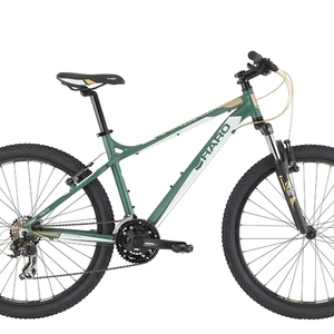 2016 Haro Flightline Green