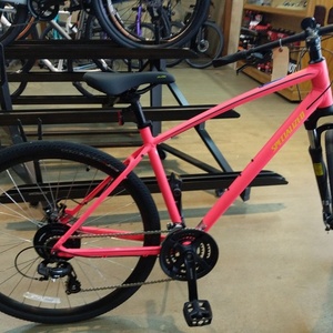 2018 Specialized Ariel Pink
