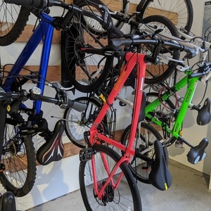 2018 Specialized Ariel Pink