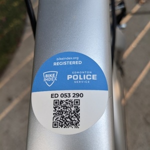 2008 Giant Tran Send DX Silver, gray or bare metal