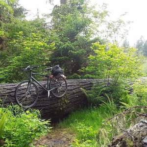 2018 Trek Fx2 Black