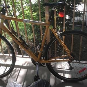 Devinci SGX61 Yellow or Gold