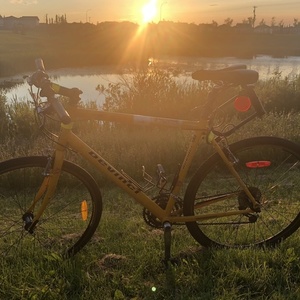 Devinci SGX61 Yellow or Gold