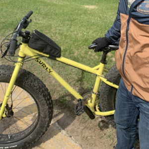 2016 Surly Yellow or Gold