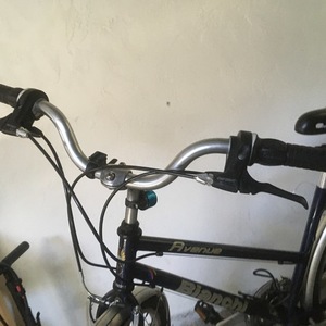 Bianchi Avenue Purple